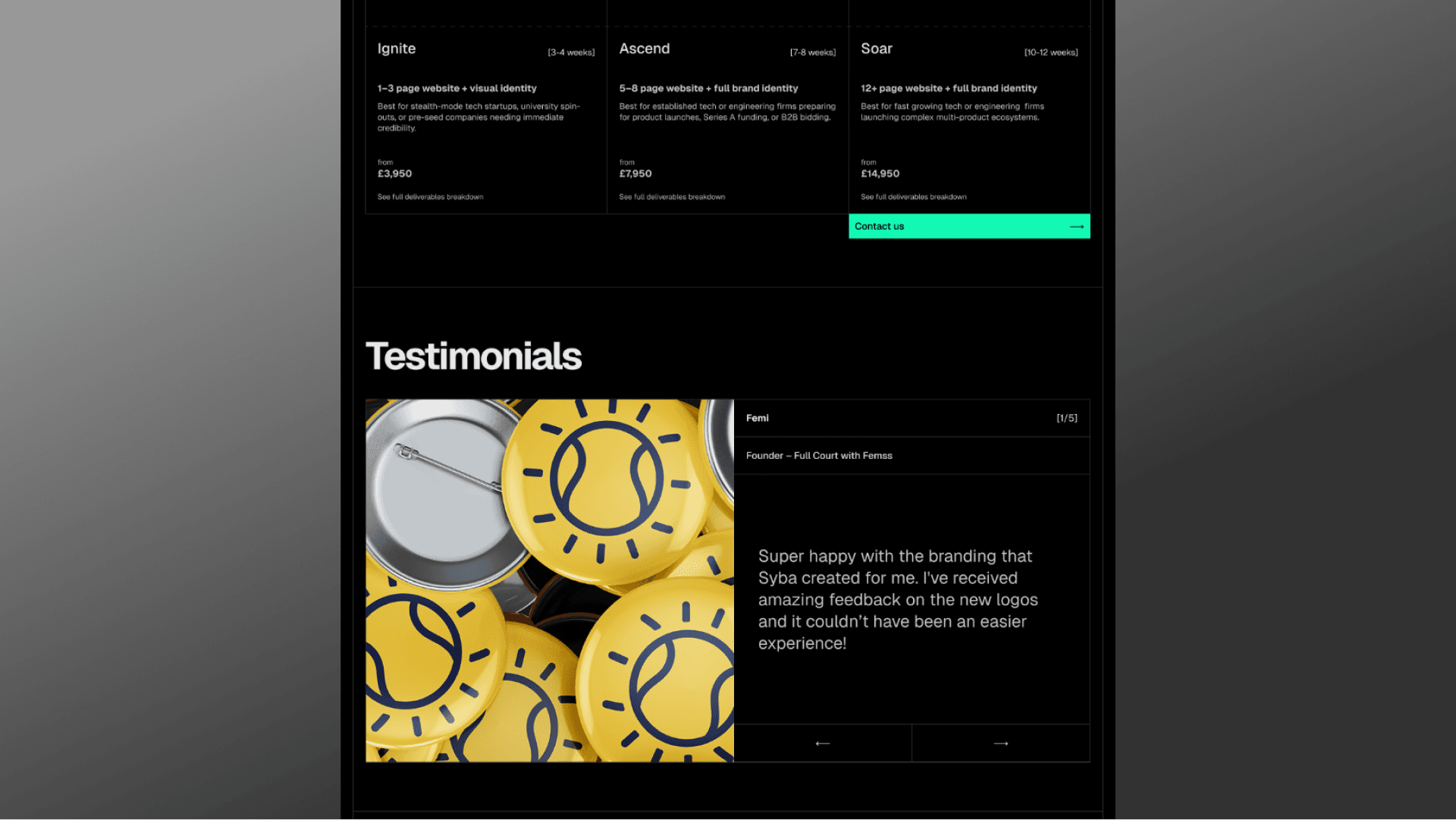 Syba Website UI Mockup