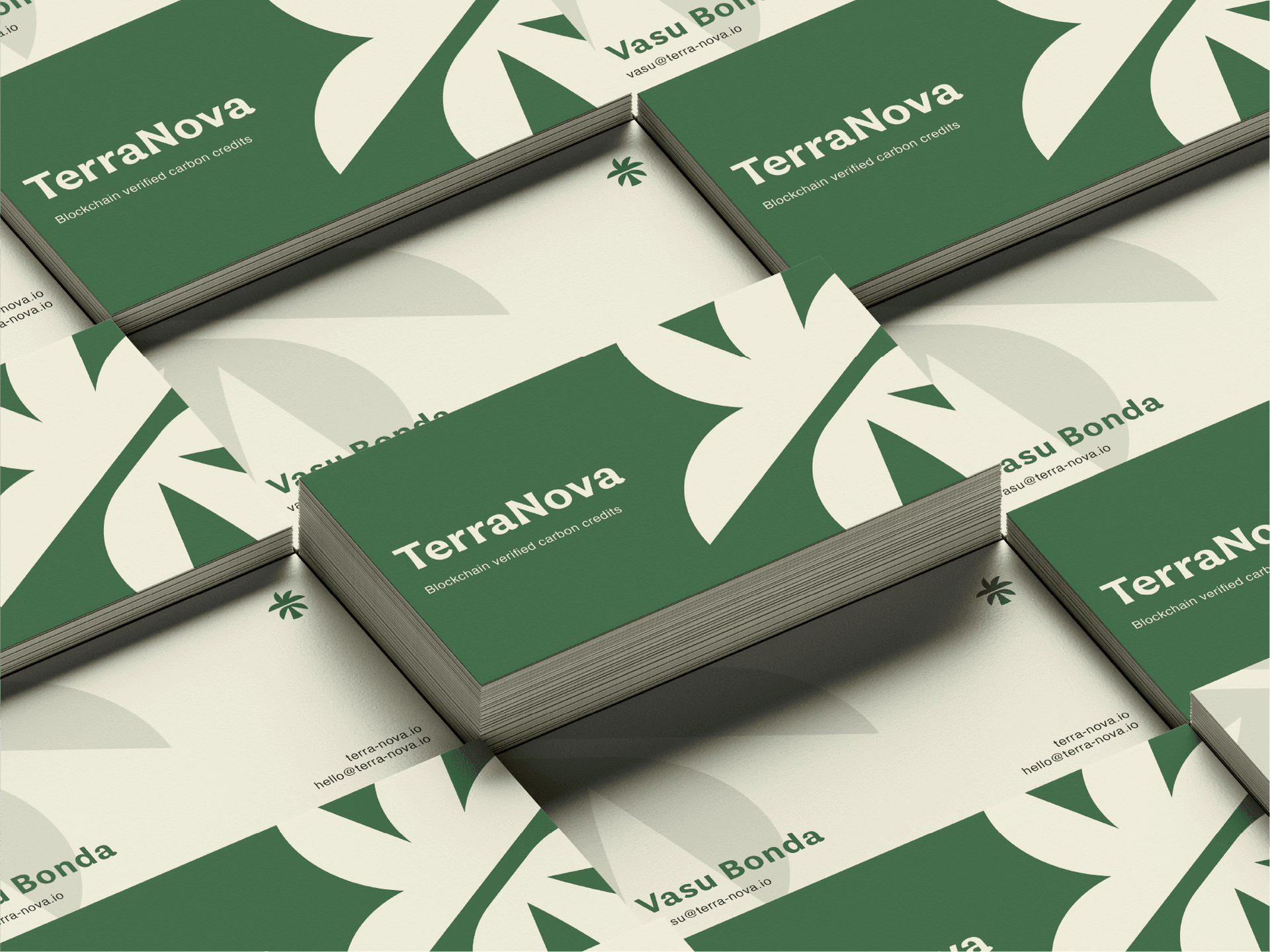TerraNova Business Card Mockup